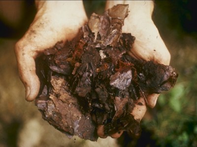 Human Composting is a No-Go in New&nbsp;York