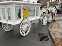 Heartwarming Farewell: Horse and Carriage&nbsp;Funeral