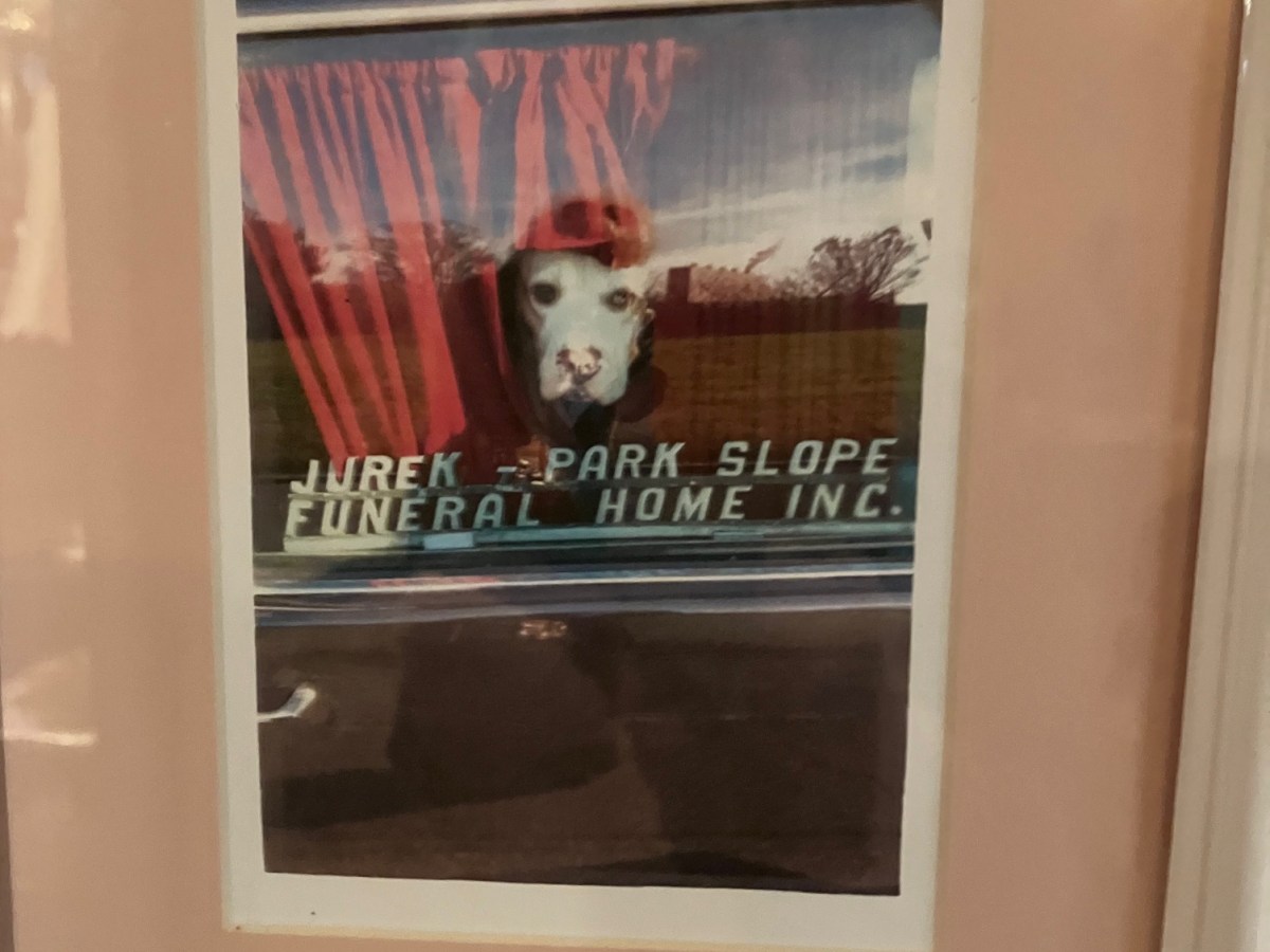 Including Pets in Funerals: Lola’s Heartwarming&nbsp;Story